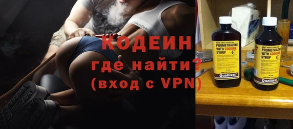 СК Елизово