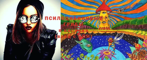 дмт Белокуриха