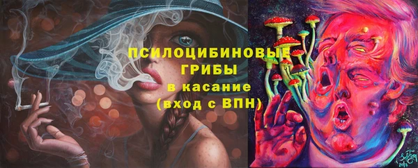 дмт Белокуриха