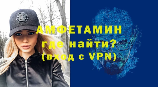 амф Ельня